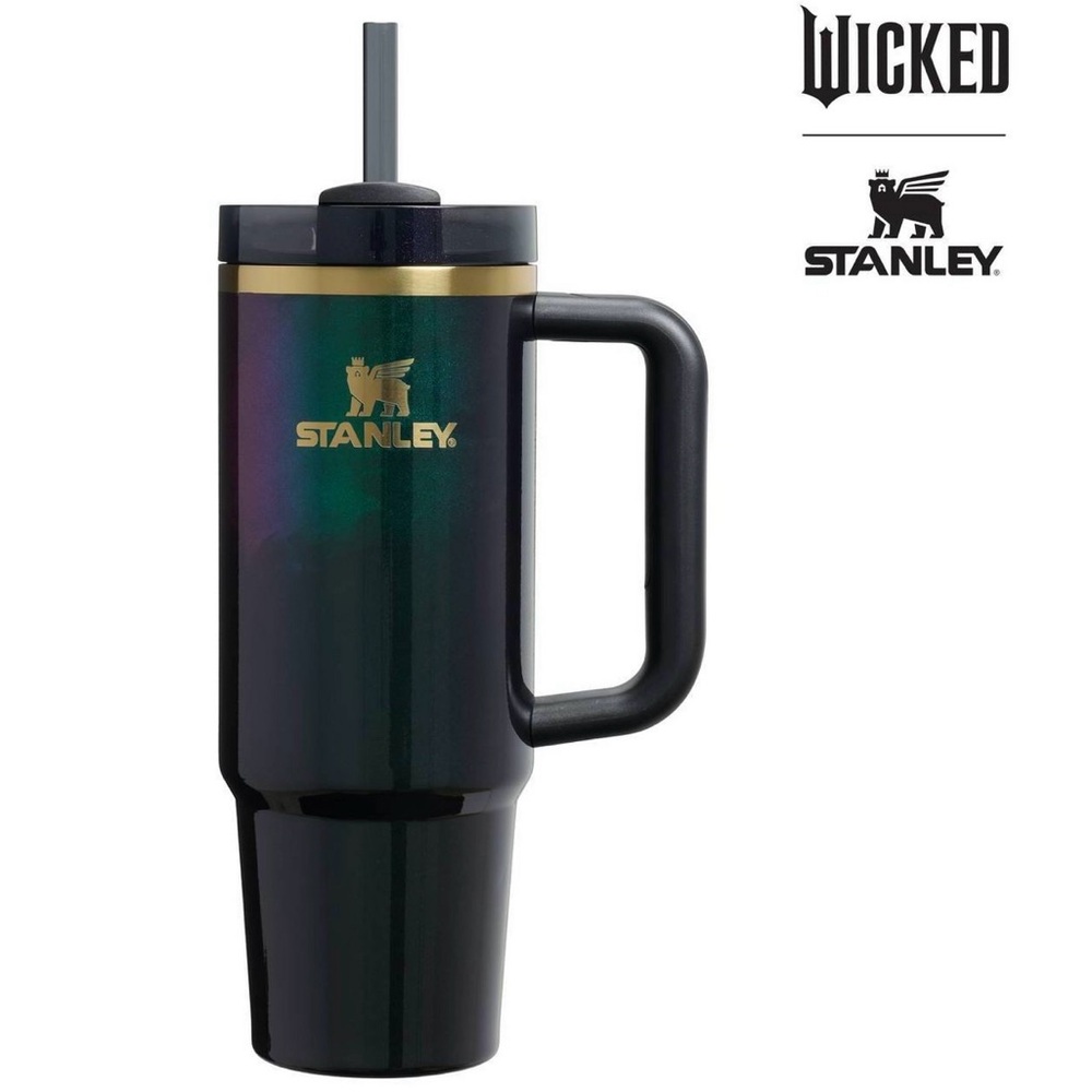 Elphaba For Good 30 oz Stainless Steel H2.0 Wicked Stanley Tumbler - NWT